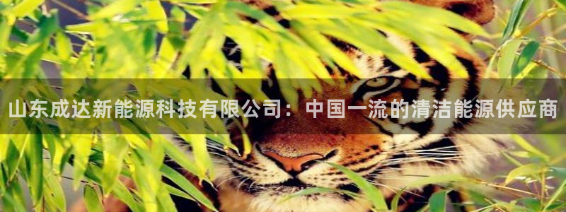 sunbet申搏官方网站