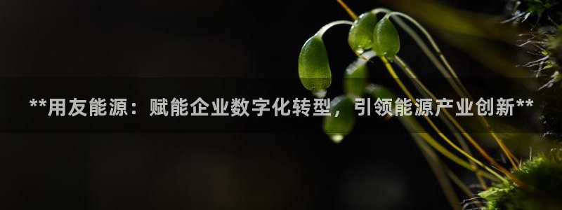 申博手机网址