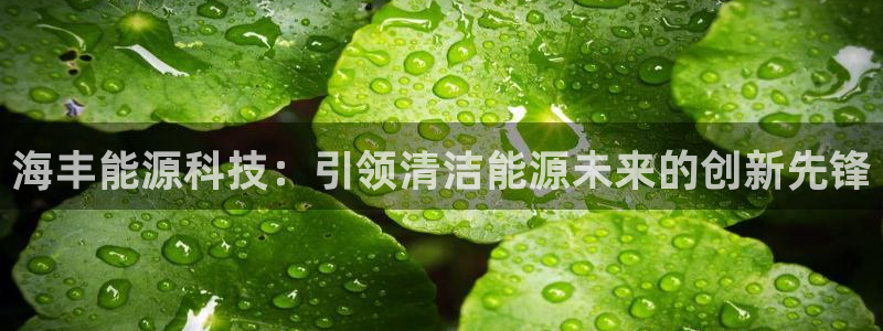 sunbet官网登录首页