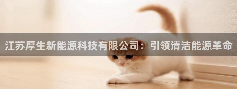 sunbet燃气灶