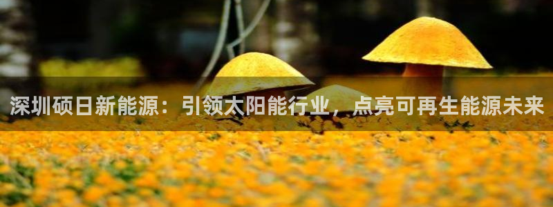 sunbet最新登陆