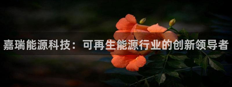 sunbet安卓下载