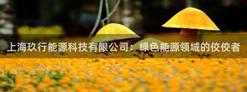 sunbet申搏官方网站