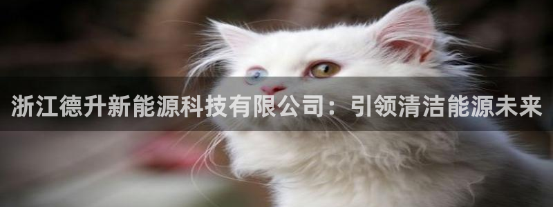 sunbet官网代理下载