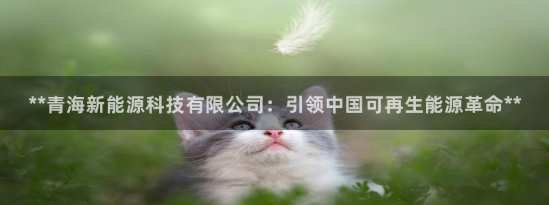 申慱sunbet手机版登