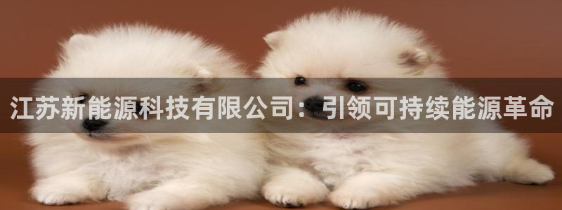 sunbet手机版登录