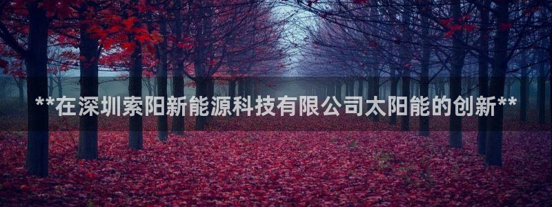 sunbet中国官网