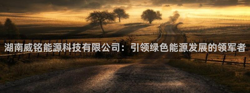 sunbet手机版官网下载