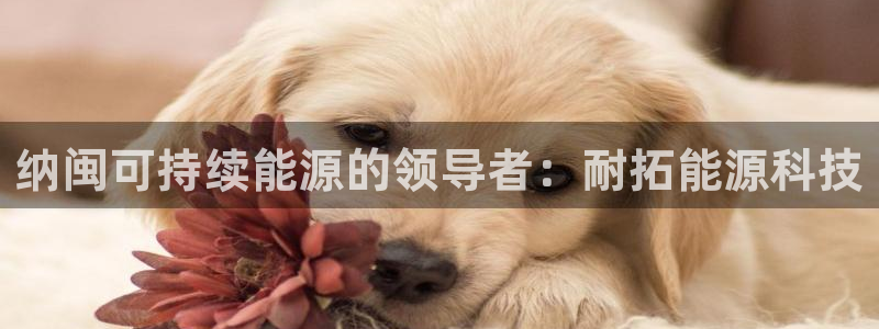 sunbet手机网页版本