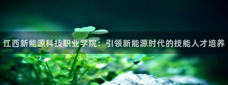 sunbet手机版官网下载