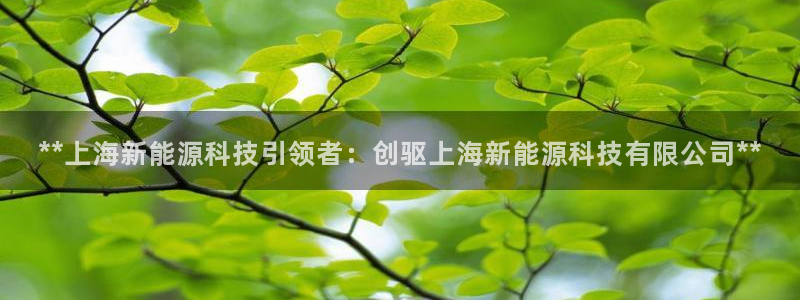 sunbet英语翻译