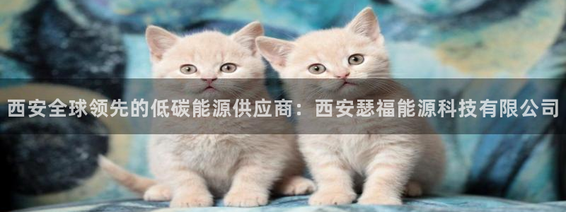 申慱sunbet手机版登