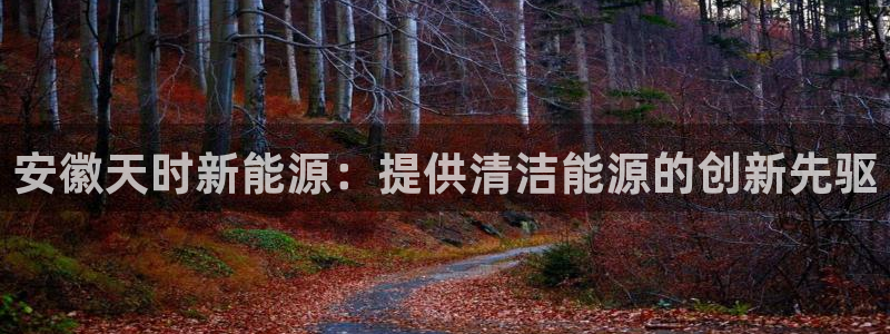 sunbet程序