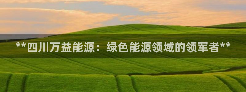 申博手机版官网