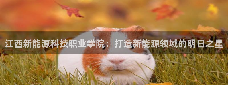 sunbet手机网页版