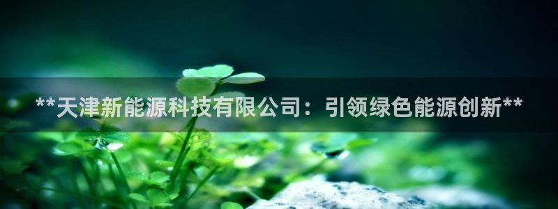 sunbet中文