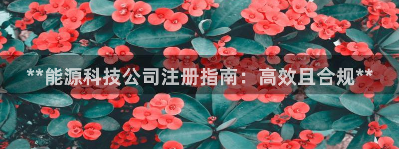 sunbet手机网页版本