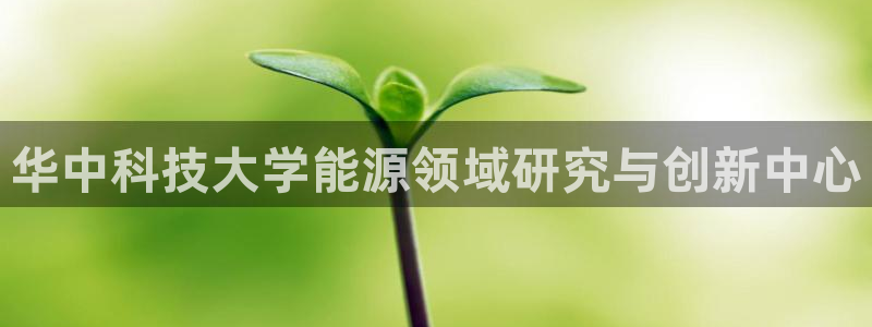sunbet官网手机版登录