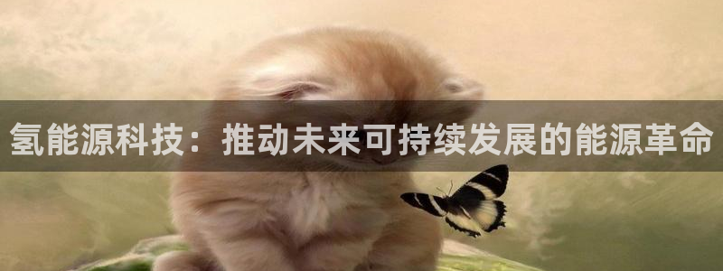 sunbet程序