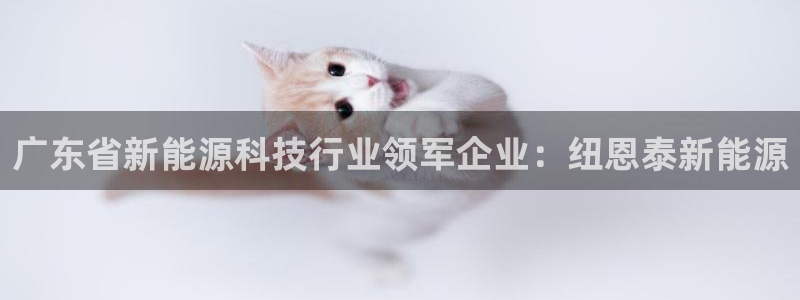 sunbet手机网页版本