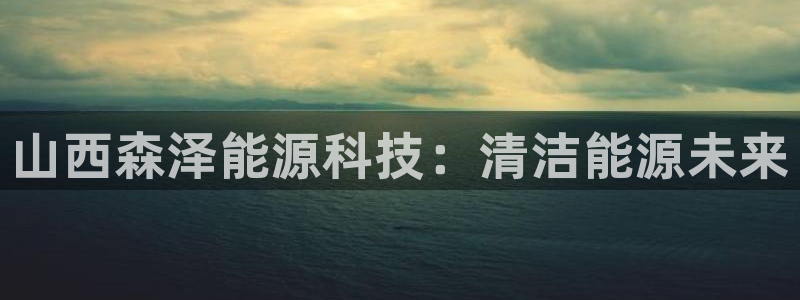 申博官方网站