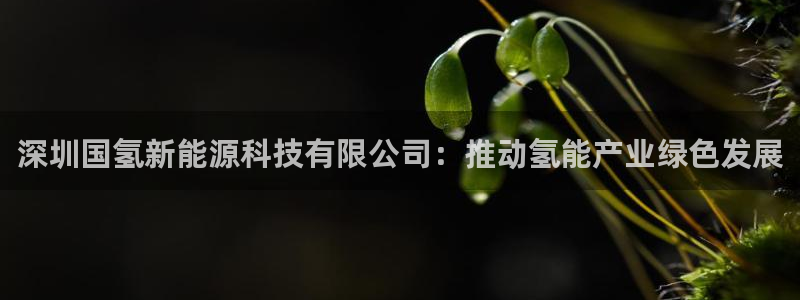 sunbet游戏