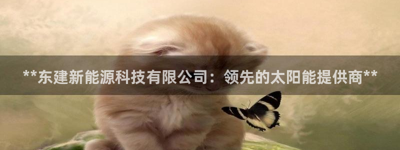 sunbet中文
