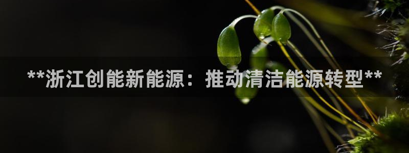 sunbet中文