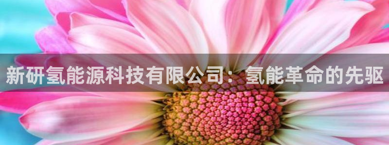 申慱sunbet手机版登