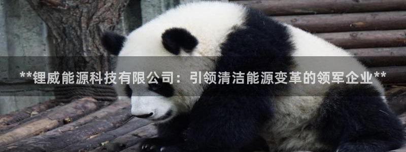 申博视讯