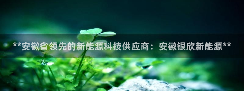 sunbet游戏