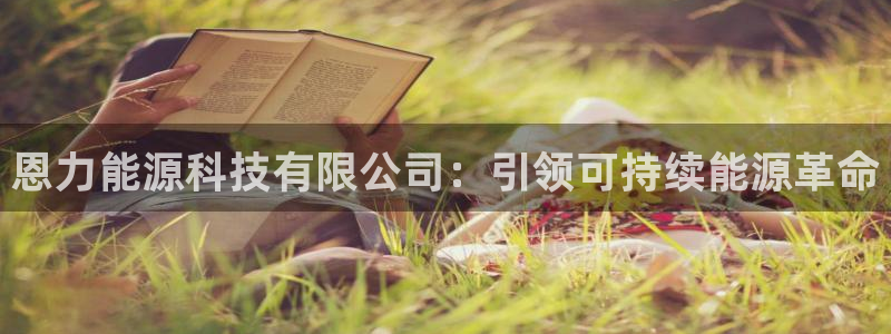 sunbet手机版官网下载