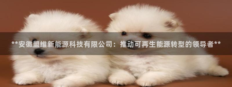 申慱sunbet网站