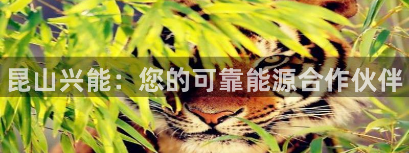 sunbet官网代理下载