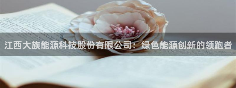 sunbet燃气灶