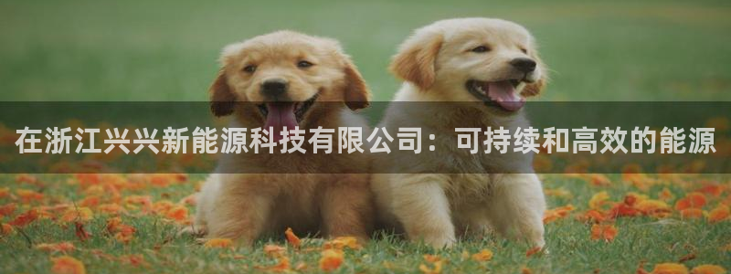 sunbet手机版官网下载
