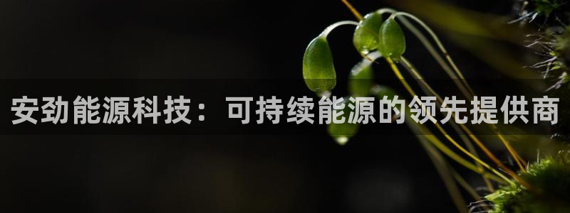 sunbet申搏官网