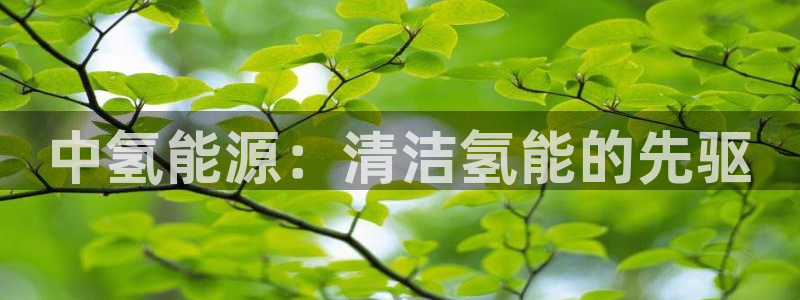 进入sunbet官网手机版登陆
