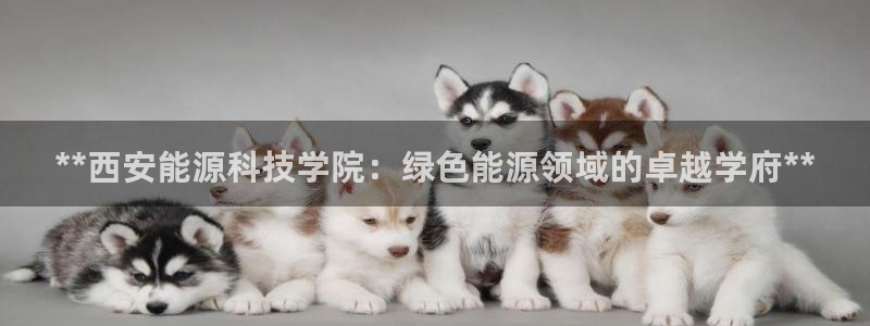 申博手机版官网
