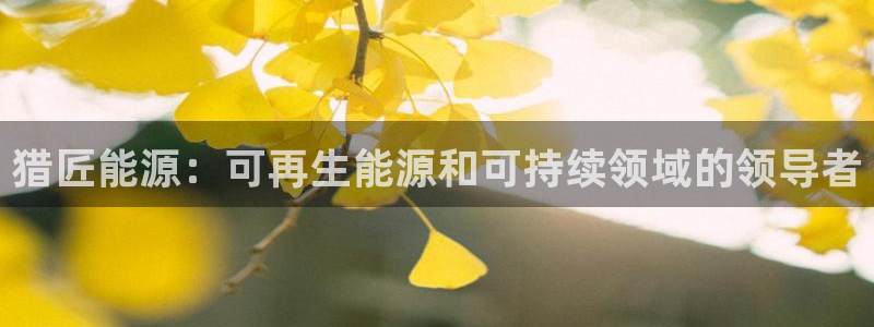 sunbet手机版官网下载