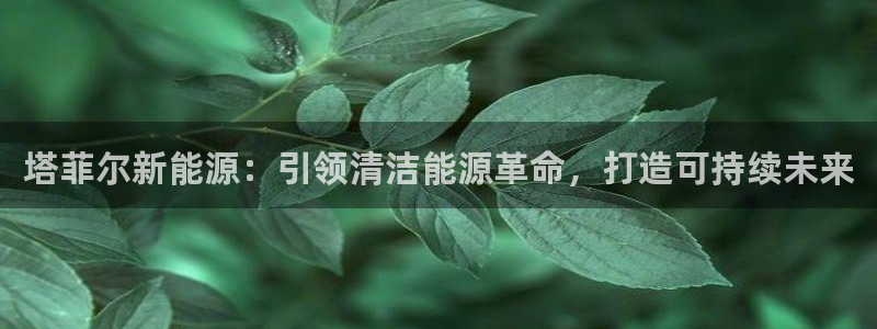 sunbet中文