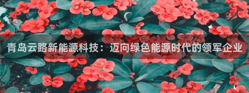 申博官方网站