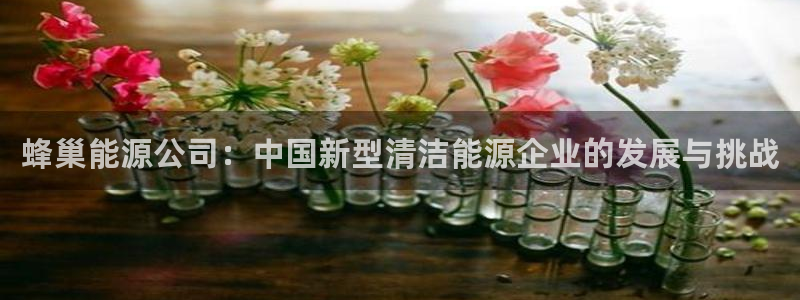 sunbet游戏网