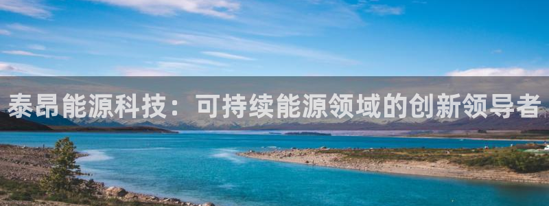 申博官网电脑版下载