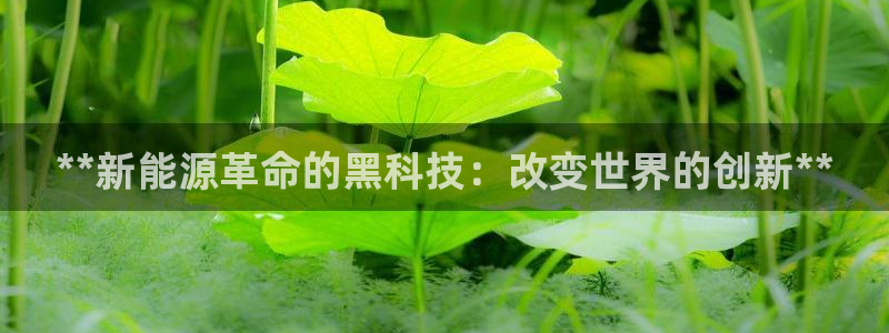 申慱sunbet版app