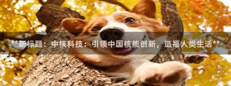 申博手机版app下载