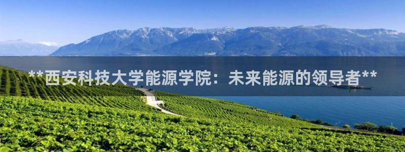 申博官方网站手机版下载