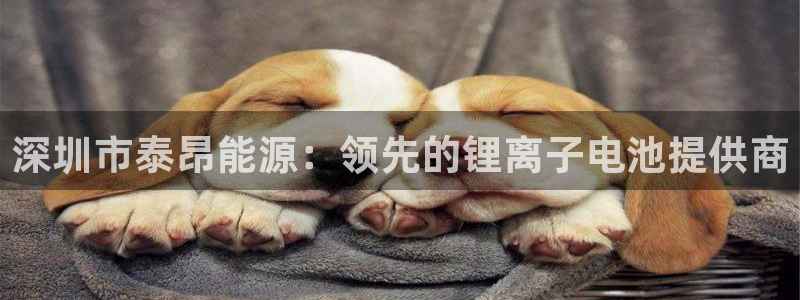 sunbet官网开户登录手机版