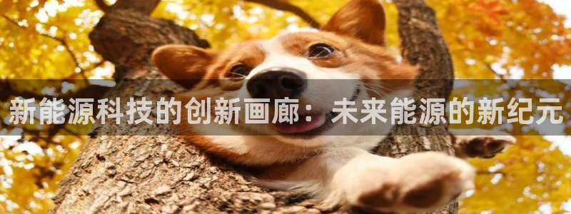sunbet手机端