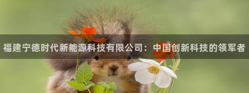 sunbet官网app首页
